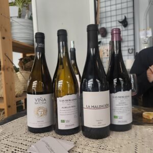 Cata de vinos de Madrid