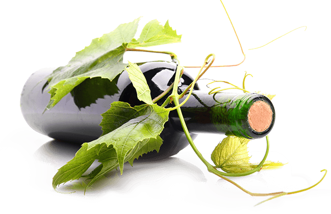 catas de vino en Madrid