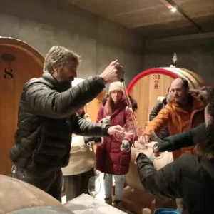 Catas y experiencias de vino en Madrid