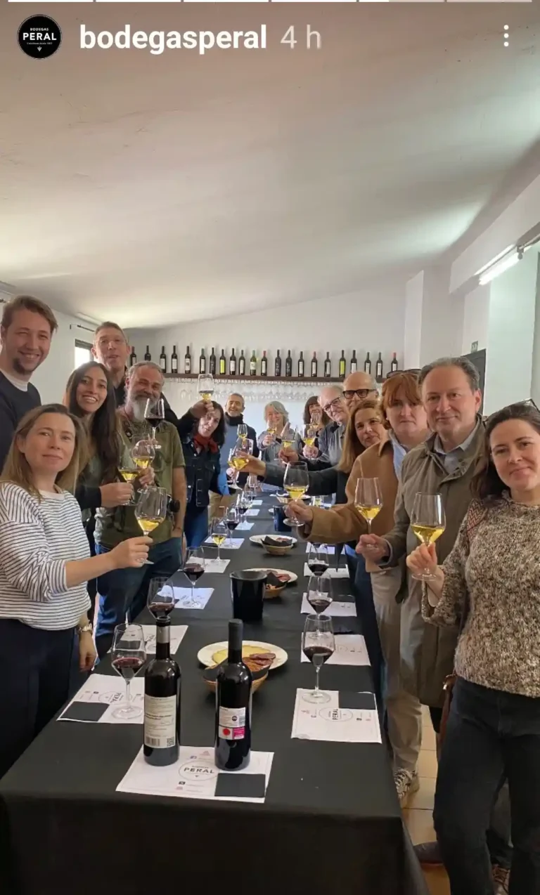 Catas y experiencias de vino en Madrid y alredesores