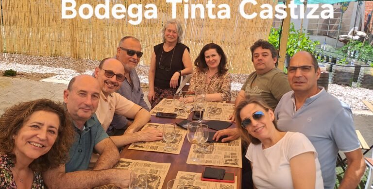 Bodega Tinta Castiza (Madrid)