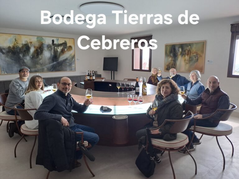 Bodega Tierras de Cebreros (DO Cebreros)
