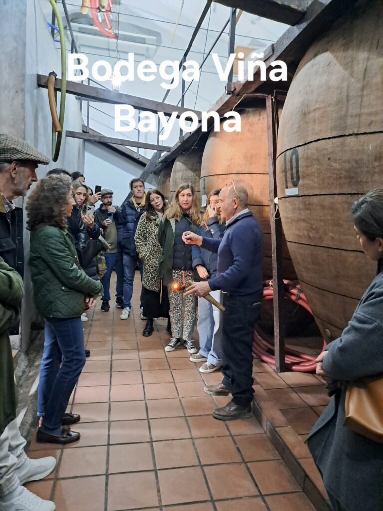 Bodega Viña Bayona (Madrid)
