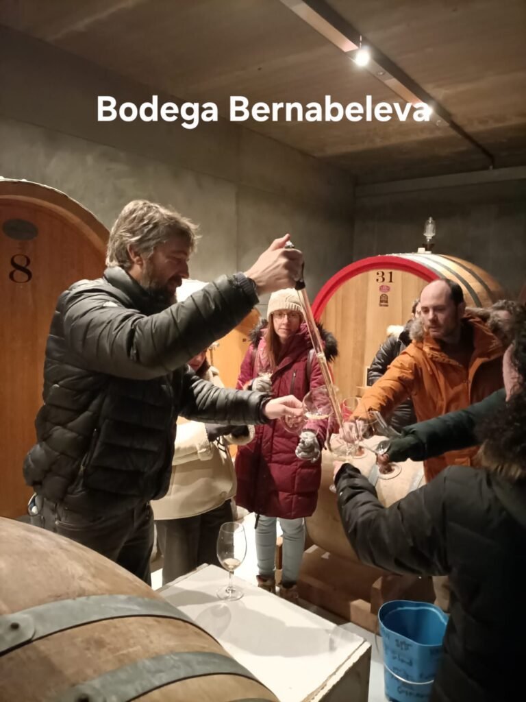 Enoturismo por Madrid y alrededores