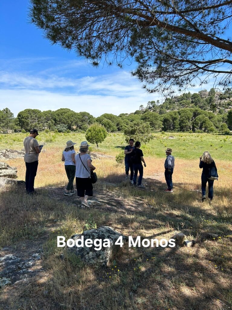Bodega 4 Monos (Madrid)