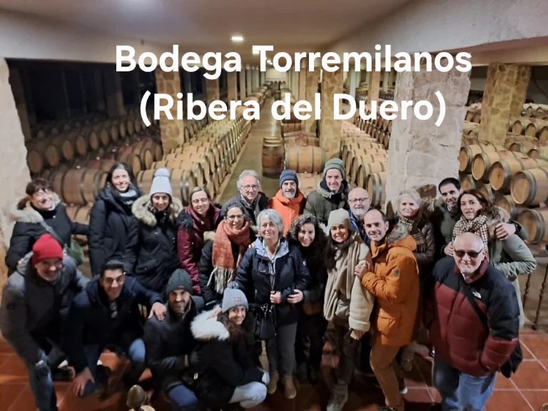 Bodega Torremilanos (Ribera del Duero)